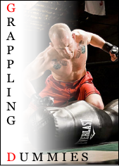 MMA Dummies